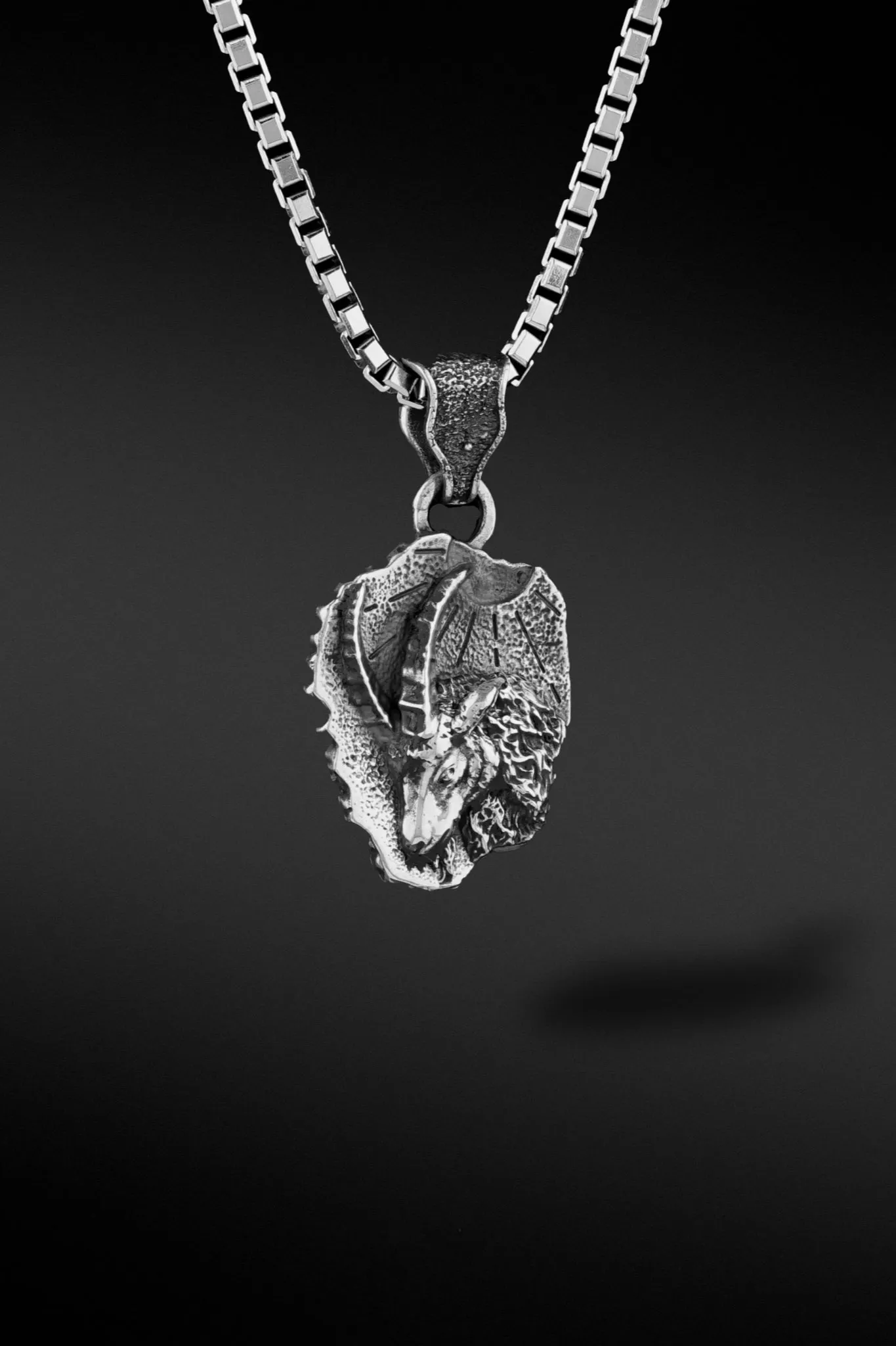 Capricorn Pendant