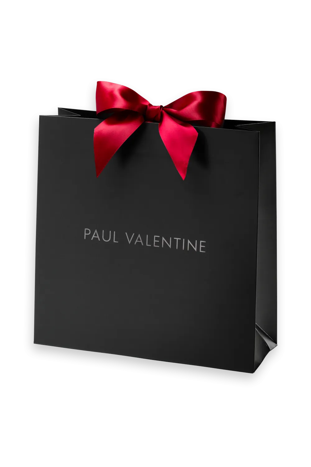 Gift Bag Paul Valentine