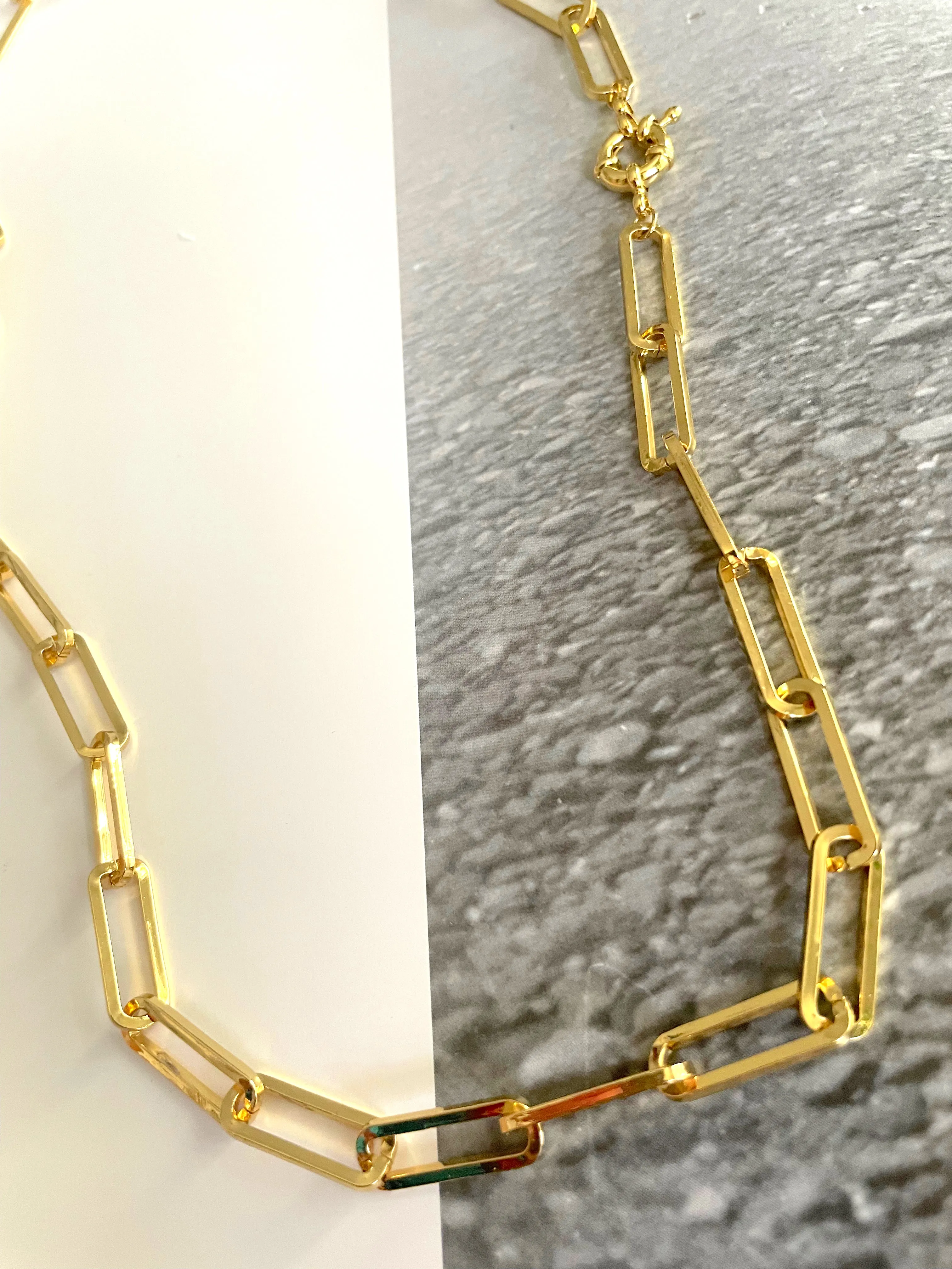 Long  Gold Link Necklace