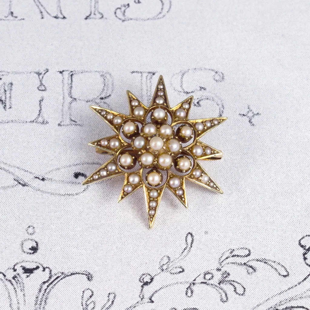 Victorian Pearl Star Pendant/ Brooch